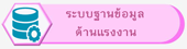 ป้อนข้อมูลด้านแรงงาน